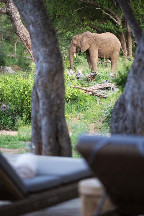 Simbavati Amani Villa Klaserie Private Nature Reserve Eksteriør billede